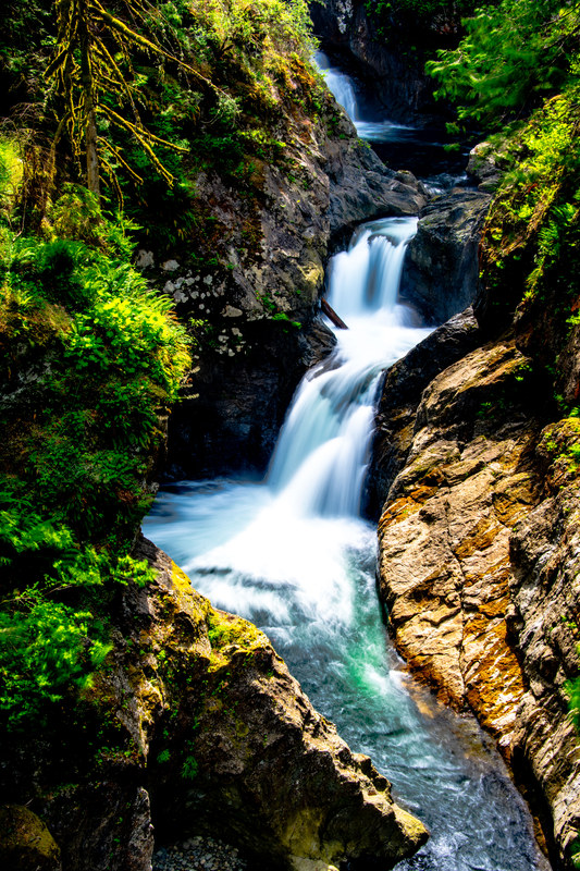 Wide view of Middle Falls dropping into a lush gorge surrounded by ferns and mossy rock